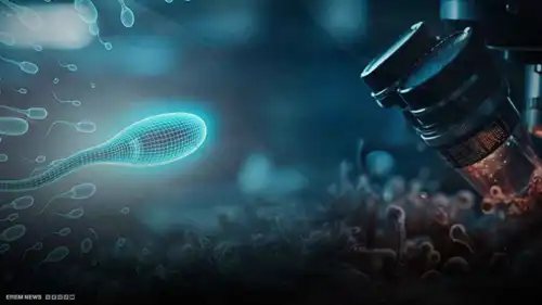 "لهزم العقم".. الذكاء الاصطناعي يختار البويضة والحيوان المنوي الأمثل