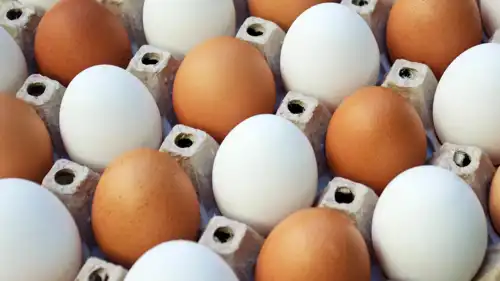 البيض البني والأبيض