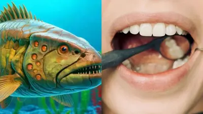 سمكة عمرها 465 مليون عام تكشف أصل آلام الأسنان