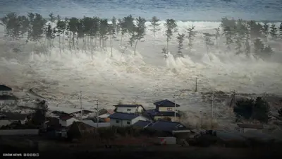 تسونامي ياباني 2011