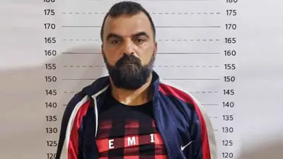 أسد كاسر صقور