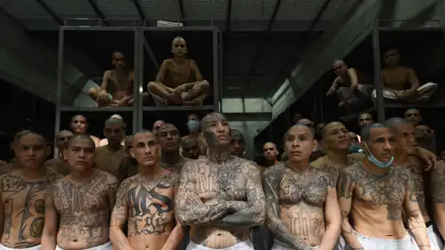 أعضاء من العصابة 