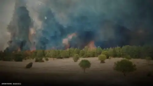 من الشمال إلى الجنوب .. صيف ناري يشتعل في تركيا