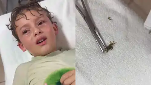 الطفل بيدرو