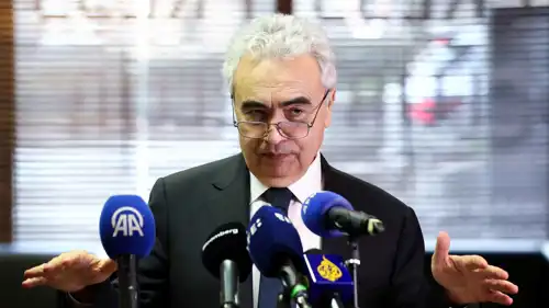 المدير التنفيذي لوكالة الطاقة الدولية فاتح بيرول