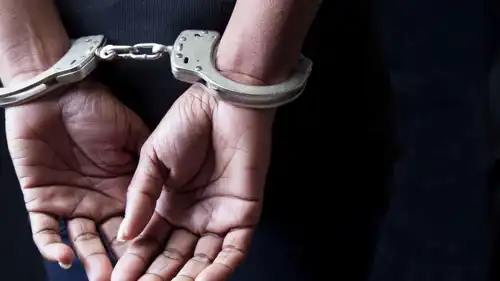 القبض على البلوغر