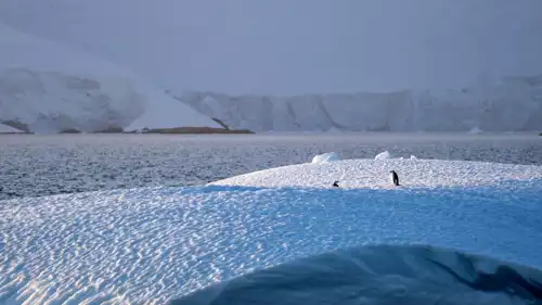 الجليد في القارة القطبية الجنوبية