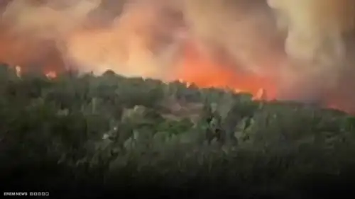 أكبر حريق غابات في فرنسا منذ 1949