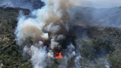 حرائق اللاذقية 