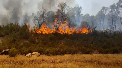 حرائق سابقة في المغرب