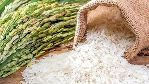 الأرز يدفع ثمن الحرب.. كيف ذلك؟